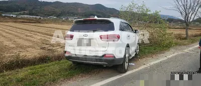 2015, Kia / Sorento, diesel