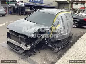 2021, Hyundai / Santa FE, VIN: KMHS581HGMU371066, diesel