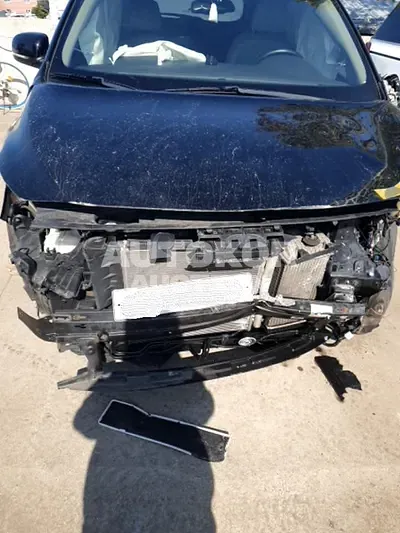 2019, Kia / Carnival, VIN: KNAMB81ABKS490731, 96108 км., diesel