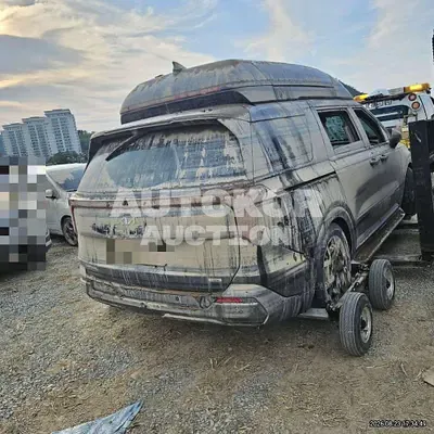 2024, Kia / Carnival, hybrid, 1600 куб.см.