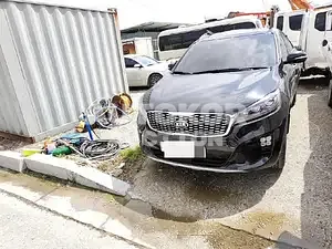 2019, Kia / Sorento, VIN: KNAPG81BBKA526441, 45820 км., diesel, 2199 куб.см.