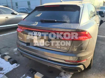2023, Audi / Q8, 26197 км., gas