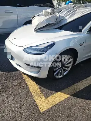 2019, Tesla / Model 3, 100000 км., electric, 225 куб.см.