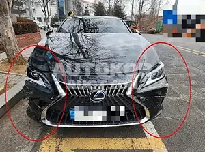 2021, Lexus / ES 300, VIN: JTHBA1C17N2007280, 17387 км., hybrid, 2487 куб.см.