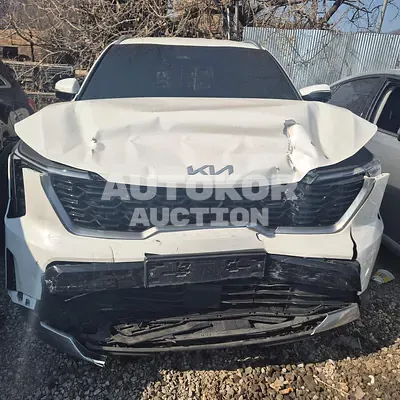 2023, Kia / Sorento, 50963 км., gas, 2500 куб.см.