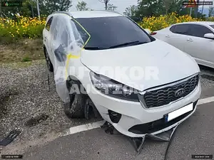 2019, Kia / Sorento, VIN: KNAPG81BDLA626492, diesel