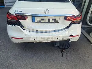 2021, Mercedes-Benz / E 250, VIN: W1KZF4FB4MA926204, 10000 км., gas