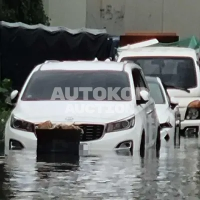 2018, Kia / Carnival, 97080 км., diesel