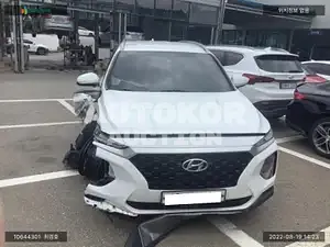 2019, Hyundai / Santa FE, VIN: KMHS281BBKU169088, diesel