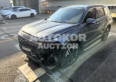 2019, Hyundai / Santa FE, VIN: KMHS381BDKU082525, diesel