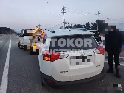 2014, Toyota / RAV4, gas