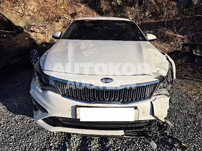 2019, Kia / K5, VIN: KNAGU411BKA328351, 76119 км., gas