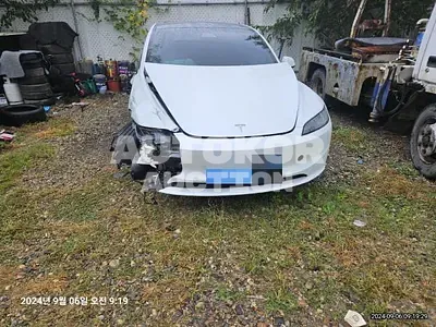 2024, Tesla / Model 3, 30000 км., electric