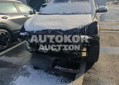 2017, Hyundai / Santa FE, VIN: KMHSW81UBHU712134, diesel