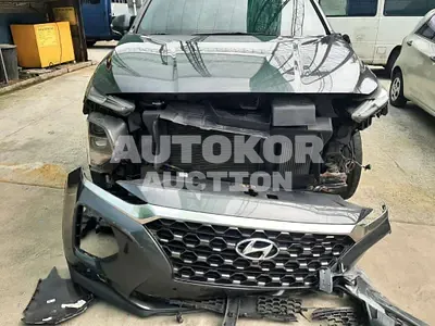 2019, Hyundai / Santa FE, VIN: KMHS381BBKU094895, 161451 км., diesel