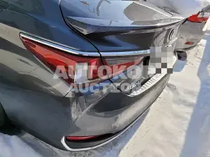 2021, Lexus / ES 300, VIN: JTHBA1C19M2002130, 8000 км., hybrid