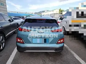 2018, Hyundai / Kona, VIN: KMHK381GFKU016353, electric, 180 куб.см.