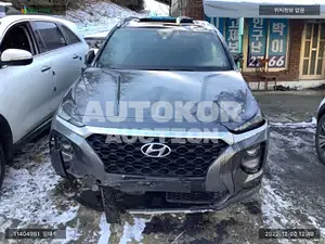 2018, Hyundai / Santa FE, VIN: KMHS281BDKU034003, diesel