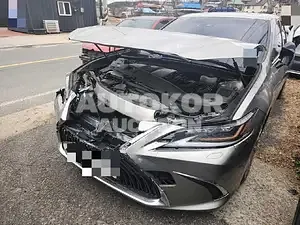 2019, Lexus / ES 300, 66572 км., hybrid, 2487 куб.см.