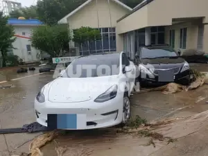 2021, Tesla / Model 3, VIN: 5YJ3E1EB4MF892162, electric