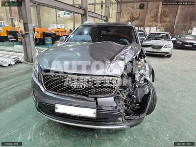 2016, Kia / Sorento, VIN: KNAPS81ABHA283593, diesel, 1995 куб.см.
