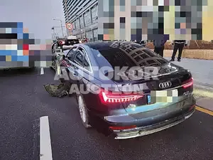 2020, Audi / A6, VIN: WAUZZZF29LN045307, 60000 км., diesel, 1968 куб.см.