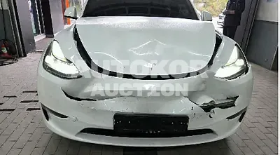 2024, Tesla / Model Y, VIN: LRWYGCEK6RC495579, 19637 км., electric