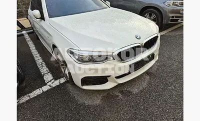 2017, BMW / 520, 118976 км., diesel, 1995 куб.см.