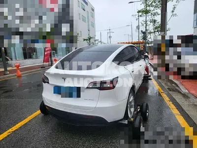 2021, Tesla / Model Y, electric
