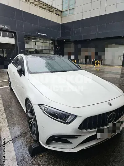 2020, Mercedes-Benz / cls53, 76682 км., gas