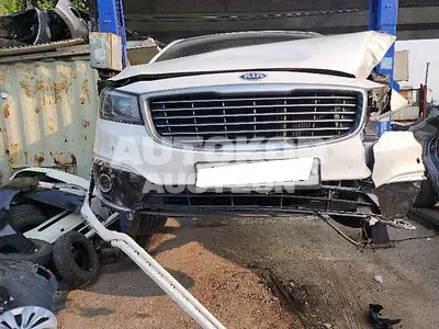 2015, Kia / Carnival, VIN: KNAMB81ABGS090689, diesel, 2199 куб.см.