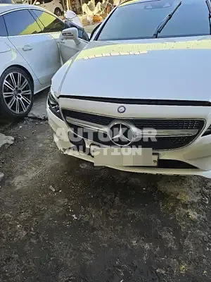 2017, Mercedes-Benz / CLS 250, VIN: WDDLJ9HB2HA194319, 95000 км., diesel