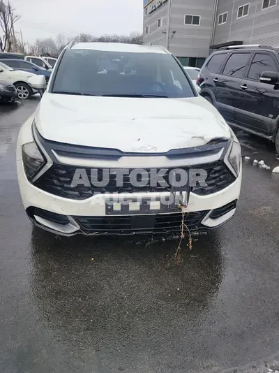 2021, Kia / Sportage, VIN: KNAPH81ABKA519539, 29366 км., diesel, 2000 куб.см.