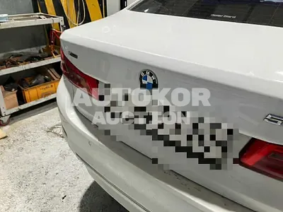 2019, BMW / 520, 299800 км., diesel