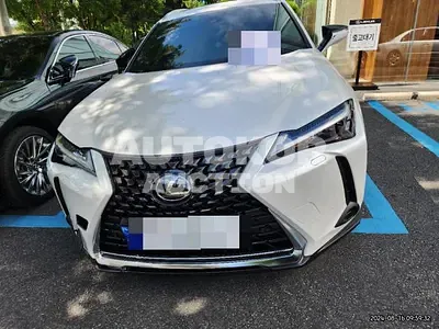 2023, Lexus / UX 250, 8109 км., gas