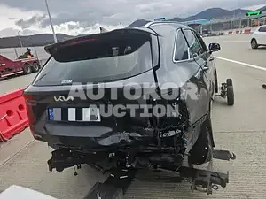 2024, Kia / Sorento, VIN: KNARH81GBRA271499, 1388 км., hybrid, 1695 куб.см.
