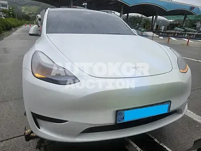 2023, Tesla / Model Y, VIN: LRWYGCFS6RC274532, 25916 км., electric, 1 куб.см.