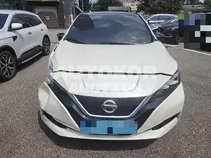 2019, Nissan / Leaf, 15382 км., electric, 115 куб.см.