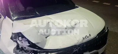 2024, Kia / Carnival, gas, 3500 куб.см.