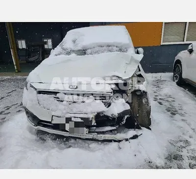 2016, Kia / Carnival, VIN: KNAMC81ABGS237315, 172525 км., diesel, 2000 куб.см.
