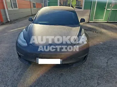 2020, Tesla / Model 3, 166826 км., electric