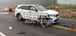 2021, Kia / Sorento, VIN: KNARF81BGNA121669, 1144 км., diesel