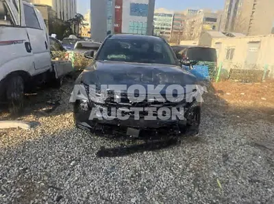 2026, Hyundai / Tucson, gas, 1600 куб.см.