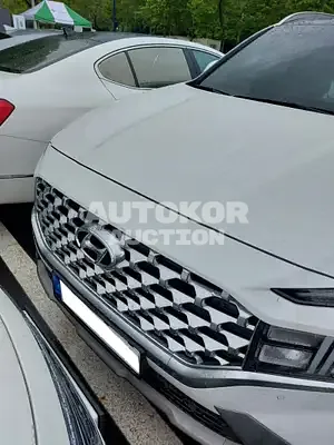 2020, Hyundai / Santa FE, VIN: KMHS281HGMU336702, diesel