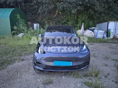 2023, Tesla / Model Y, VIN: LRWYGCFS5RC191223, 67314 км., electric, 1 куб.см.
