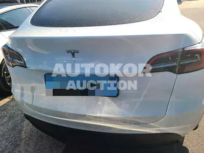 2023, Tesla / Model Y, VIN: LRWYGCFS1RC158655, 24384 км., electric, 173 куб.см.