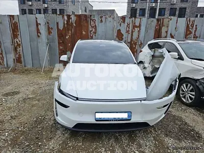 2025, Tesla / Model Y, VIN: LRWYGCFJ0SC064876, electric