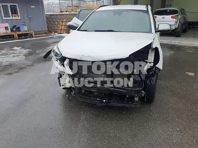 2017, Hyundai / Santa FE, VIN: KMHSW81UDHU713533, 197374 км., diesel