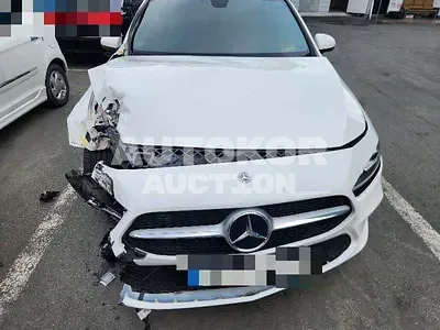 2020, Mercedes-Benz / A 220, 58966 км., gas