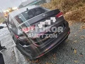 2016, Kia / K5, VIN: KNAGX411BGA051595, 100000 км., gas, 1999 куб.см.